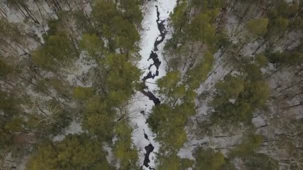 Top Drone Shot Snowy River Winter — Stock Video