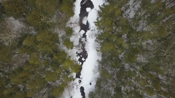 Top Drone Shot River Winter Wonderland — Stock Video