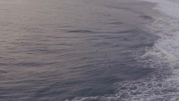 Σέρφερ Που Κάθονται Στον Βαθύ Γαλάζιο Ωκεανό Περιμένοντας Τέλειο Καθώς — Αρχείο Βίντεο