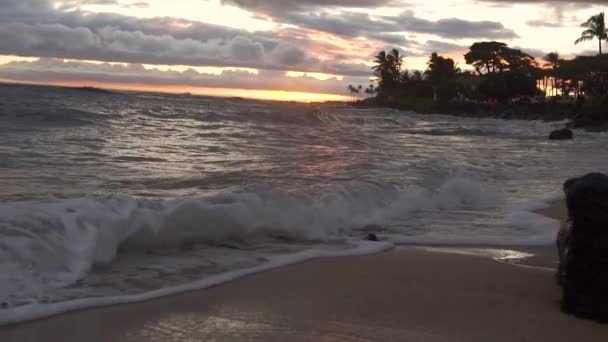 Pan Cámara Lenta Largo Playa Hawaii Atardecer — Vídeos de Stock