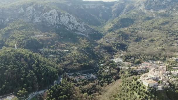 Casas Meio Floresta — Vídeo de Stock