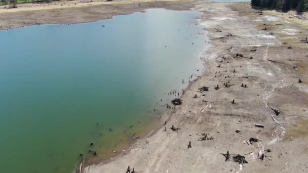 Flying Magnificent Alder Lake Beautiful Washington State — Stock Video