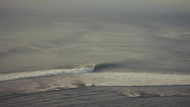 Les Surfeurs Attendent Impatiemment Attraper Une Vague Plage Bingin Bali — Video