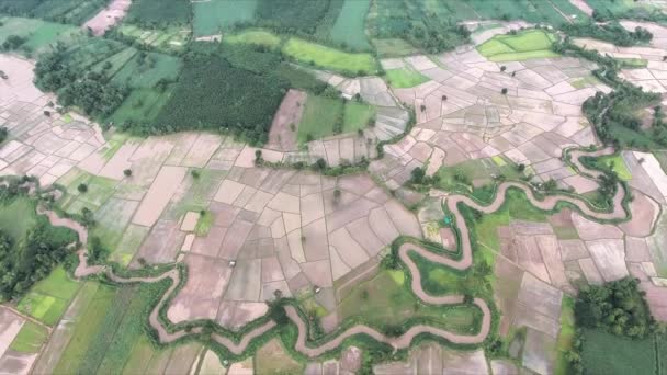 Kuzey Doğu Tayland Daki Pirinç Tarlalarının Havadan Görünüşü Içinden Akan — Stok video