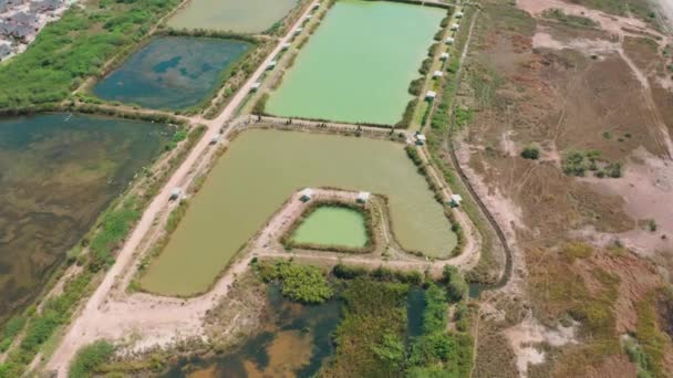 Vista Aérea Parque Pesquero Cha Tailandia Lagos Múltiples — Vídeos de Stock