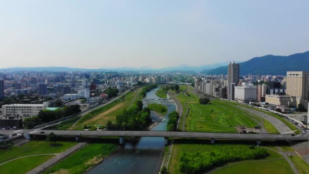 Река Тоёхира Проходящая Через Саппоро — стоковое видео