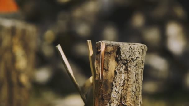 Afternoon Standing Footage Successfully Splitted Results Firewood Cut Scene Impacted — Stock Video