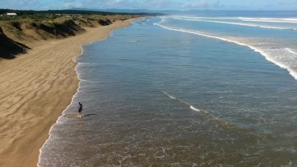 Uzun Bir Sahil Boyunca Yürüyen Bir Adamın Havadan Görünüşü Yeni — Stok video