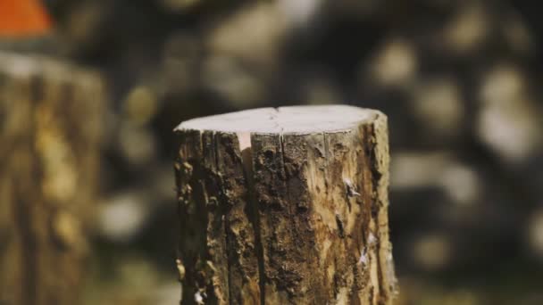 Popołudniowe Nagranie Sceny Cięcia Drewna Opałowego Uderzoną Siekierą Domu — Wideo stockowe