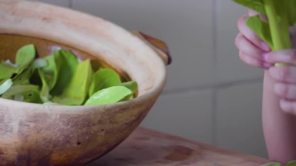 Close Young Girls Hands Washing Preparing Greens Eating Vegetables Kitchen — Stock Video