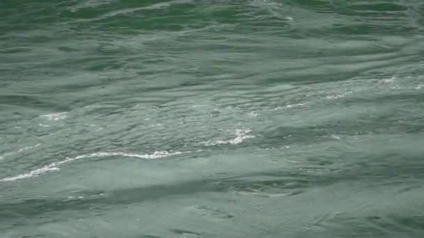 Швидко Тече Зелена Річкова Вода Перевалі Обману Штаті Вашингтон — стокове відео