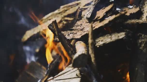 Popołudnie Stojąc Bliżej Materiał Filmowy Stosu Drewna Który Pali — Wideo stockowe