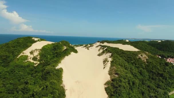 Paradise Brazil Top View — Αρχείο Βίντεο