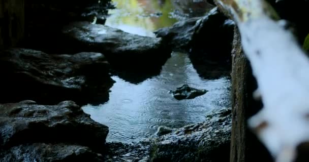 Woda Kapie Kałuży Grocie — Wideo stockowe