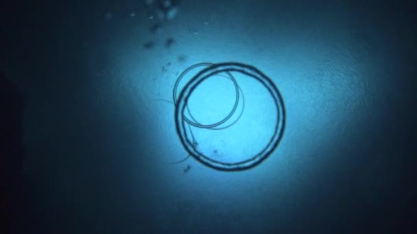 Kamera Filmuje Wznoszący Się Pierścień Bąbelkowy Dołu Gdy Schodzi Powierzchnię — Wideo stockowe