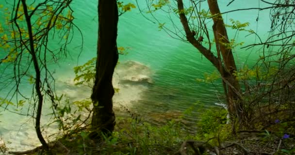 Zielona Woda Laguny Faluje Słońcu — Wideo stockowe