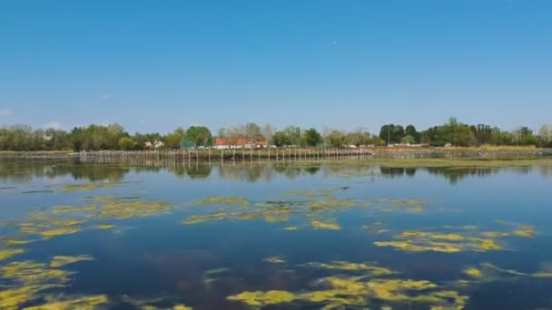 生き生きと自然保護された湖から前方への動きを持つ水上ドローンの眺めの上 Dji DroneフッテージI Fps — ストック動画