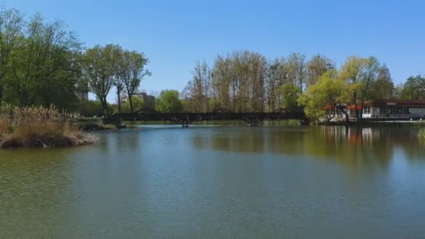 Top Water Drone View Forward Movement Nature Bridge Located Lake — Stock Video