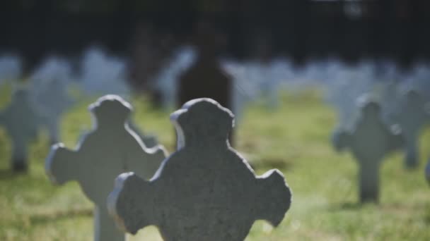 Issız Terk Edilmiş Bir Mezarlıktan Dar Odak Menzilli Yakın Çekim — Stok video