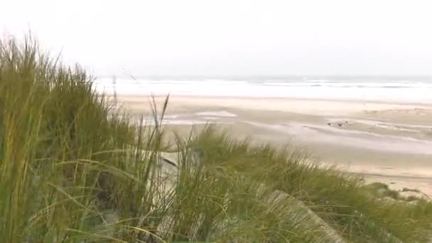 Série Tiros Ventoso Inverno Holliday Holanda Ilha Holandesa Terschelling Wind — Vídeo de Stock