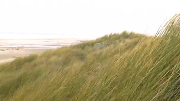 Серія Зйомок Вітряних Зимових Свят Нідерландах Нідерландському Острові Біч Терсхеллінг — стокове відео