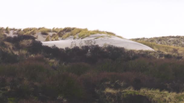 Serie Tiri Ventoso Inverno Holliday Nei Paesi Bassi Sulla Spiaggia — Video Stock