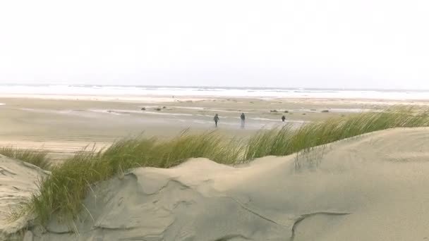 Serie Tiri Ventoso Inverno Holliday Nei Paesi Bassi Sulla Spiaggia — Video Stock