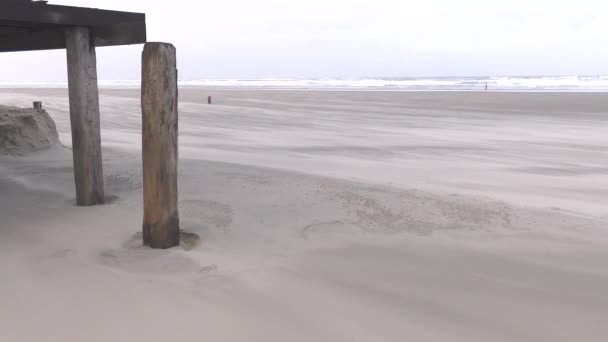 Serie Tiros Ventoso Inverno Holliday Holanda Ilha Praia Holandesa Terschelling — Vídeo de Stock