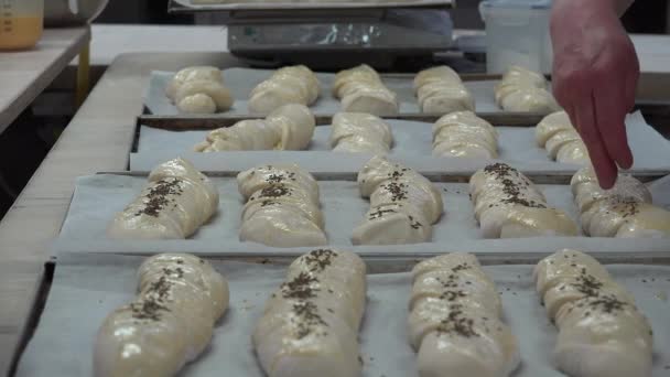 Eine Bäckerei Oder Bäckerei Ist Auch Eine Einrichtung Die Ofen — Stockvideo