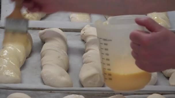 Bakery Also Baker Shop Bake Shop Establishment Produces Sells Flour — Stock Video