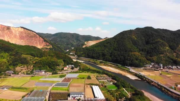 Liten Japan Vid Vacker Flod — Stockvideo