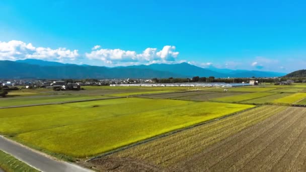 畑や温室のある日本の田舎では — ストック動画