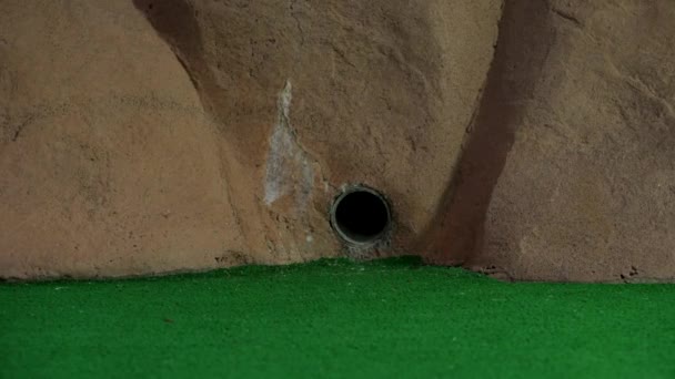 Turuncu Bir Mini Golf Topu Duvardaki Borudan Çıkar Yuvarlanır Deliği — Stok video
