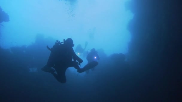 Potápěči Potápějící Podvodní Jeskyně Misool Raja Ampat — Stock video