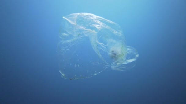 Sacchetto Plastica Che Assomiglia Una Medusa Che Rappresenta Problema Dell — Video Stock