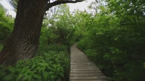 Terk Edilmiş Bir Doğa Yolunda Yavaşça Ilerliyoruz — Stok video