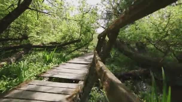 Roundabout Perspectiva Vista Lugar Abandonado Trilha Natureza Seu Ambiente — Vídeo de Stock