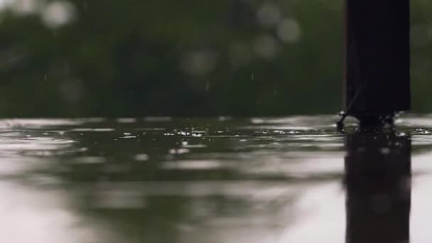 Regen Verlangsamung Tropfen Und Wellen — Stockvideo