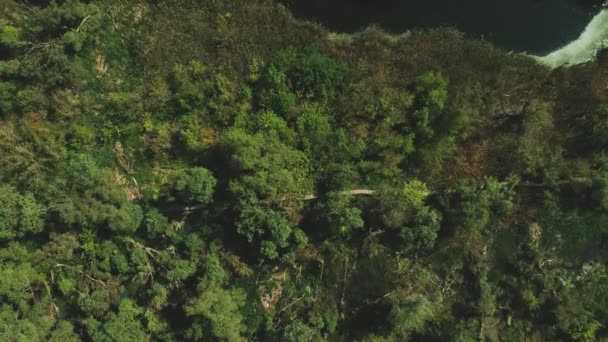 Movimiento Ascendente Gran Altitud Son Imágenes Sendero Natural Entorno Más — Vídeo de stock