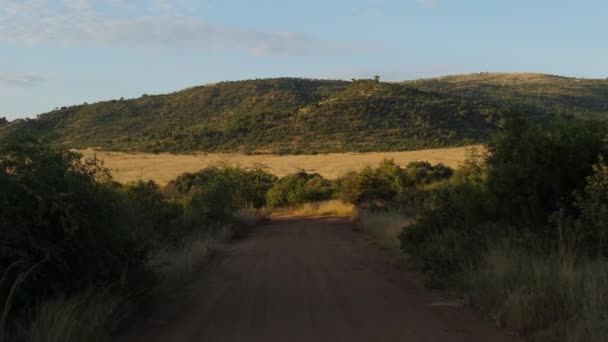 Estrada Vazia Parque Nacional Pilanesberg África Sul — Vídeo de Stock