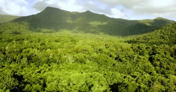 Légi Kilátás Esőerdőből Tengerpartra — Stock videók