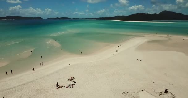 Luftaufnahme Über Den Strand Von Whitsundays — Stockvideo
