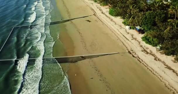 Red Protección Contra Medusas Playa Tropical — Vídeos de Stock