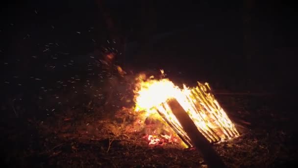 Bon Fire Night Burning Garbage Wood — Stock Video