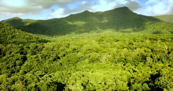 Flygplan Som Går Ner Från Regnskogen Till Stranden — Stockvideo