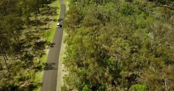 Aerial View Campervan Road Green Bush Australia — Stock Video