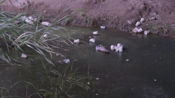 Styroporbecher Plastikflaschen Und Dosen Schwimmen Verschmutzten Algenwasser — Stockvideo