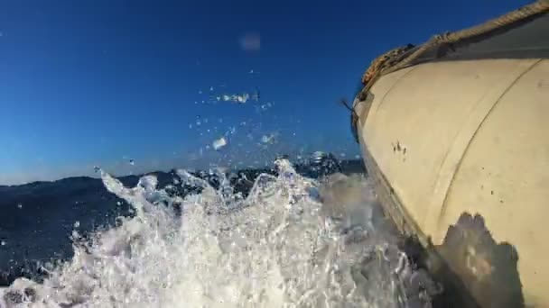 Bir Motorlu Tekne Dalış Botlarına Doğru Gidiyor — Stok video