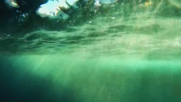 Óceán Zöldes Felszíne Víz Alól Nézve — Stock videók