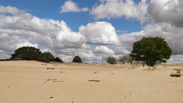 Erosión Debida Sobrepastoreo Con Desertificación Como Resultado — Vídeos de Stock